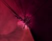 Tapety na plochu - Butterfly Wings