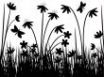 Tapety na plochu - Greyscale flowers