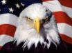 Tapety na plochu - Eagle on flag