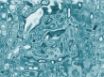 Tapety na plochu - Clear Water