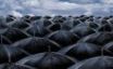 Tapety na plochu - Black umbrellas