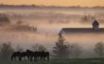 Tapety na plochu - Morning fog