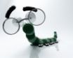 Tapety na plochu - Funny bug