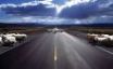 Tapety na plochu - Sheep on the road