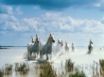 Tapety na plochu - White Horses