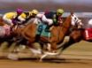 Tapety na plochu - Horse Racing