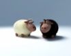 Tapety na plochu - Sheep talk