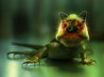 Tapety na plochu - Photoshopped lizzard