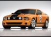 Tapety na plochu - 2007 Saleen Mustang