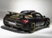 Tapety na plochu - Gemballa GT rear