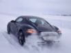 Tapety na plochu - Porsche Cayman