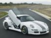 Tapety na plochu - Porsche Rinspeed
