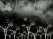 Tapety na plochu - Dark Meadow