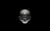 Tapety na plochu - Cat Skull