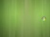 Tapety na plochu - Green shades XP