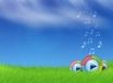 Tapety na plochu - Media Player bliss