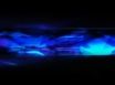 Tapety na plochu - VAIO structure