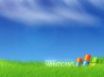 Tapety na plochu - Windows 7 grass