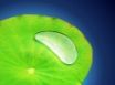 Tapety na plochu - Light Green Vista