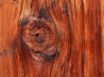 Tapety na plochu - Vista wood node