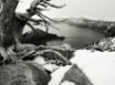Tapety na plochu - Vista lake
