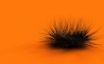 Tapety na plochu - Orange chaos