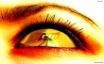 Tapety na plochu - Eye reflections