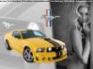 Tapety na plochu - Paris Hilton Ford Mustang