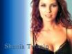 Tapety na plochu - Shania Twain Wall 2