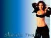 Tapety na plochu - Shania Twain Wall 3