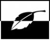 Tapety na plochu - Black and white
