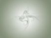 Tapety na plochu - Grey symbol