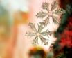 Tapety na plochu - Spangle Flake