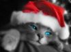Tapety na plochu - Kitty Santa