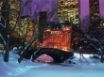 Tapety na plochu - Christmas C. Park NY