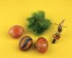 Tapety na plochu - Eggs & Grass