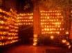 Tapety na plochu - A lot of pumpkins