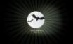 Tapety na plochu - Halloween Bats