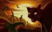 Tapety na plochu - Angry Cat