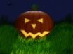Tapety na plochu - Pumpkin in grass