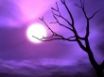 Tapety na plochu - Purple sky