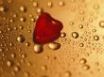 Tapety na plochu - Red heart and drops