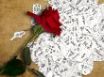 Tapety na plochu - Valentine in shreds