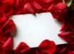 Tapety na plochu - Roses and letter