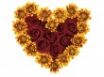 Tapety na plochu - Goldsmith Heart