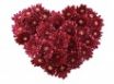 Tapety na plochu - Hyacinths Heart
