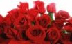 Tapety na plochu - Red Valentines