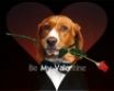 Tapety na plochu - Be My Valentine