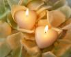 Tapety na plochu - Hearts Pair Light
