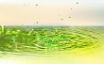 Tapety na plochu - Exploding green